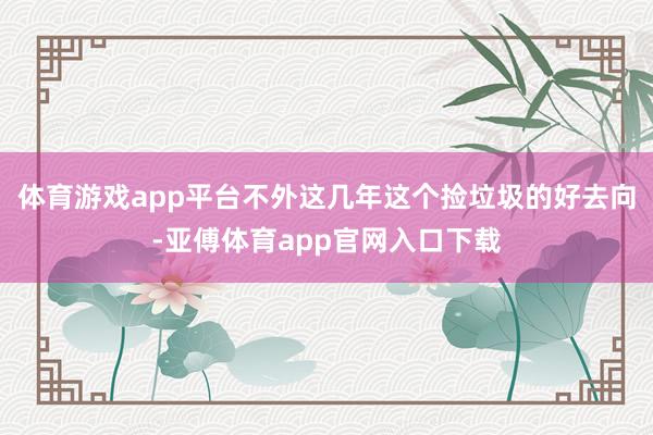 体育游戏app平台不外这几年这个捡垃圾的好去向-亚傅体育app官网入口下载