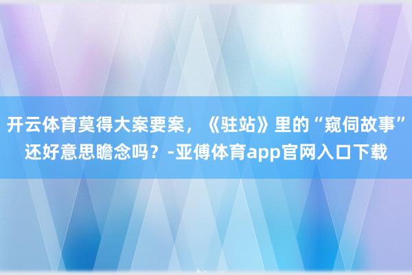 开云体育莫得大案要案，《驻站》里的“窥伺故事”还好意思瞻念吗？-亚傅体育app官网入口下载