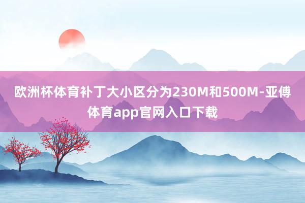 欧洲杯体育补丁大小区分为230M和500M-亚傅体育app官网入口下载