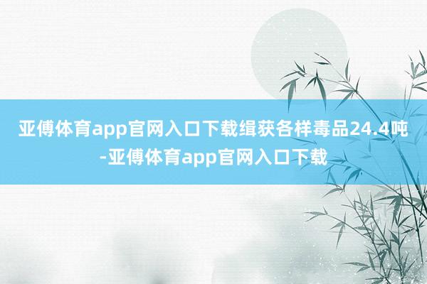 亚傅体育app官网入口下载缉获各样毒品24.4吨-亚傅体育app官网入口下载