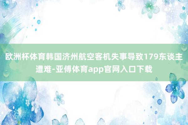 欧洲杯体育韩国济州航空客机失事导致179东谈主遭难-亚傅体育app官网入口下载