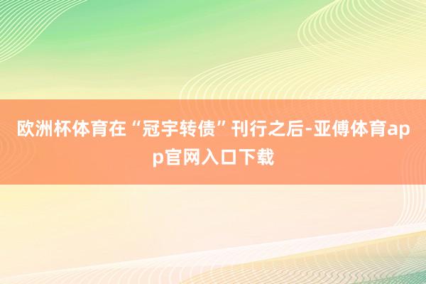 欧洲杯体育在“冠宇转债”刊行之后-亚傅体育app官网入口下载