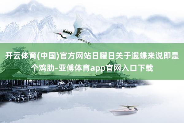 开云体育(中国)官方网站日曜日关于遐蝶来说即是个鸡肋-亚傅体育app官网入口下载