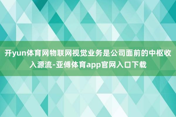 开yun体育网物联网视觉业务是公司面前的中枢收入源流-亚傅体