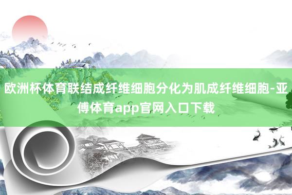 欧洲杯体育联结成纤维细胞分化为肌成纤维细胞-亚傅体育app官